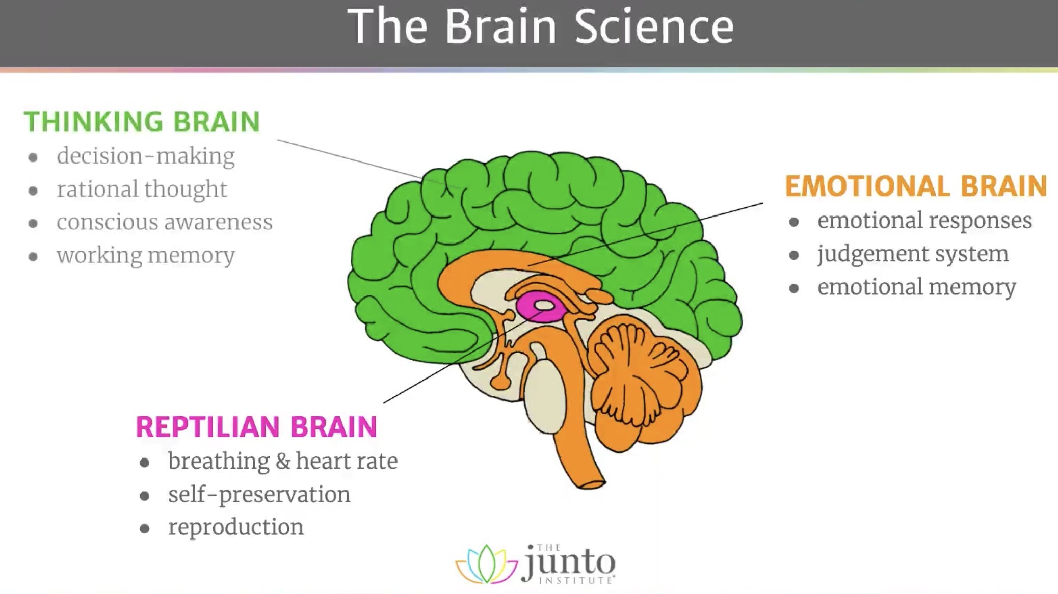 inforgraphic about different areas of the brain, thinking, reptilian, emotional